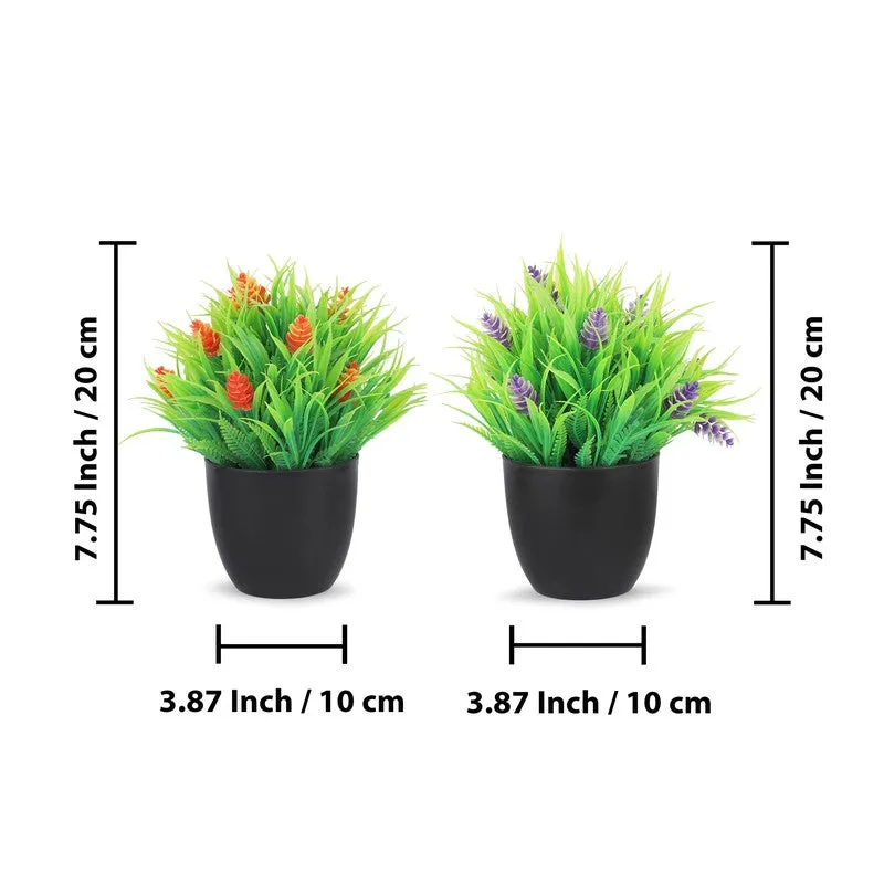 Leafzen Artificial Plant With Plastic Pot(Set of Two) - 0.7 Feet media 8
