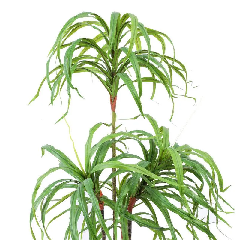 Artificial Realistic Dracaena Plant With Black Plastic Pot - 4.9 Feet media 6