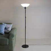 Acrylic Floor Lamp category
