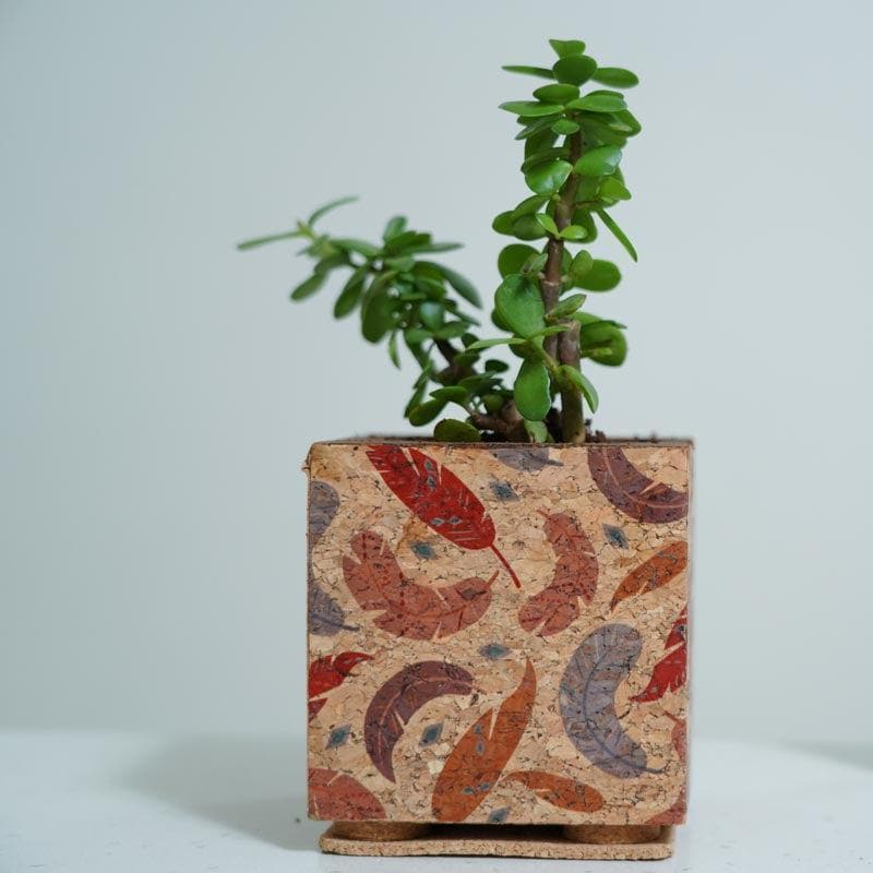 Corky Zen Planter media 3