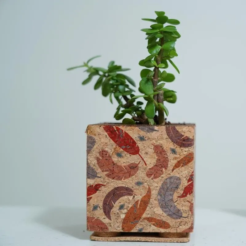 Corky Zen Planter media 3