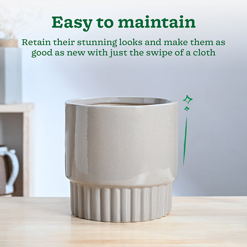 Ugaoo Sleepy Sprout Round Ceramic Planter - Beige media 4
