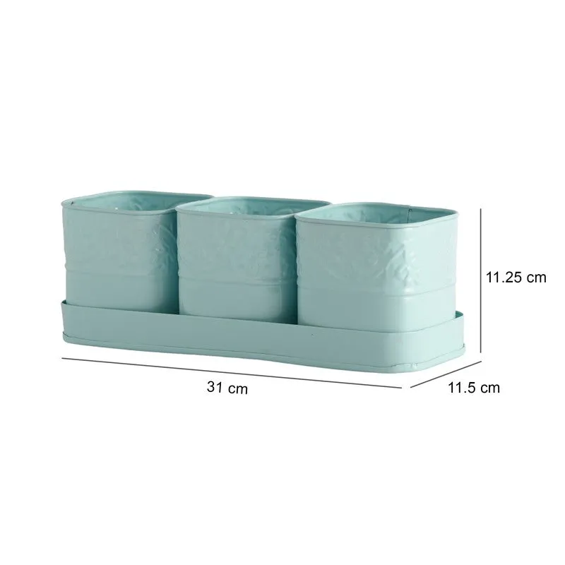 CanopyCup Planters with Tray - Blue media 9