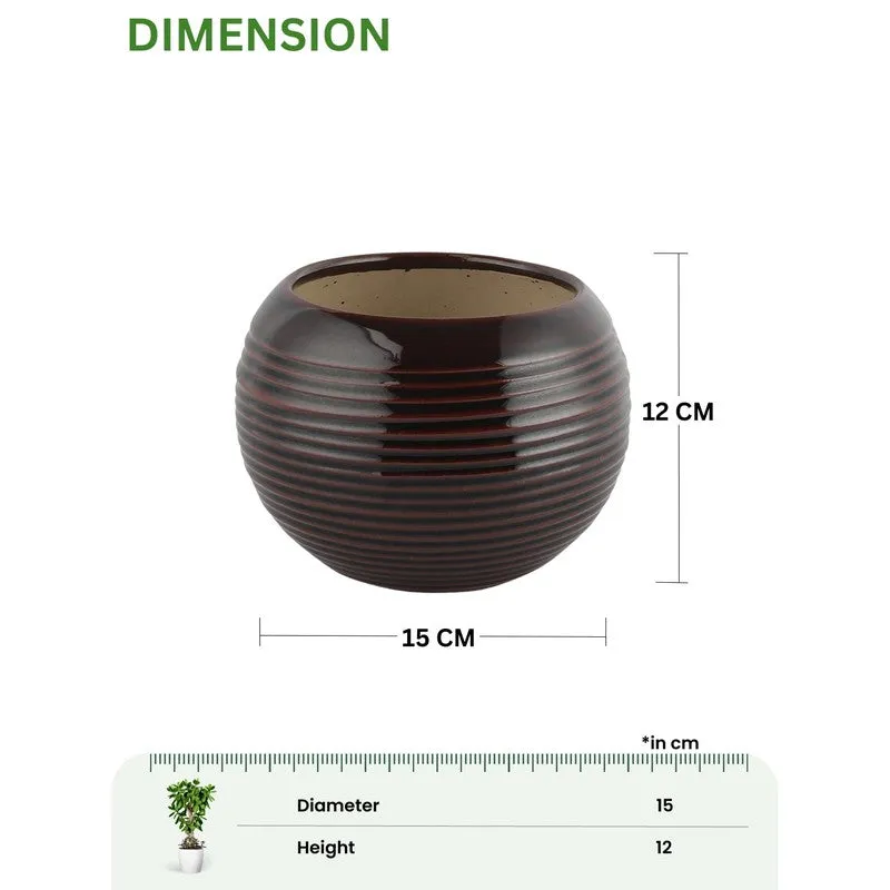 UrbanNest Pots & Planters  Brown media 9
