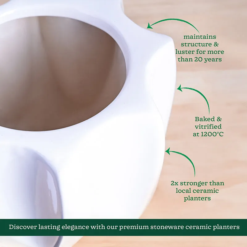 Ugaoo Pebble Pod Ceramic Planter - White media 5