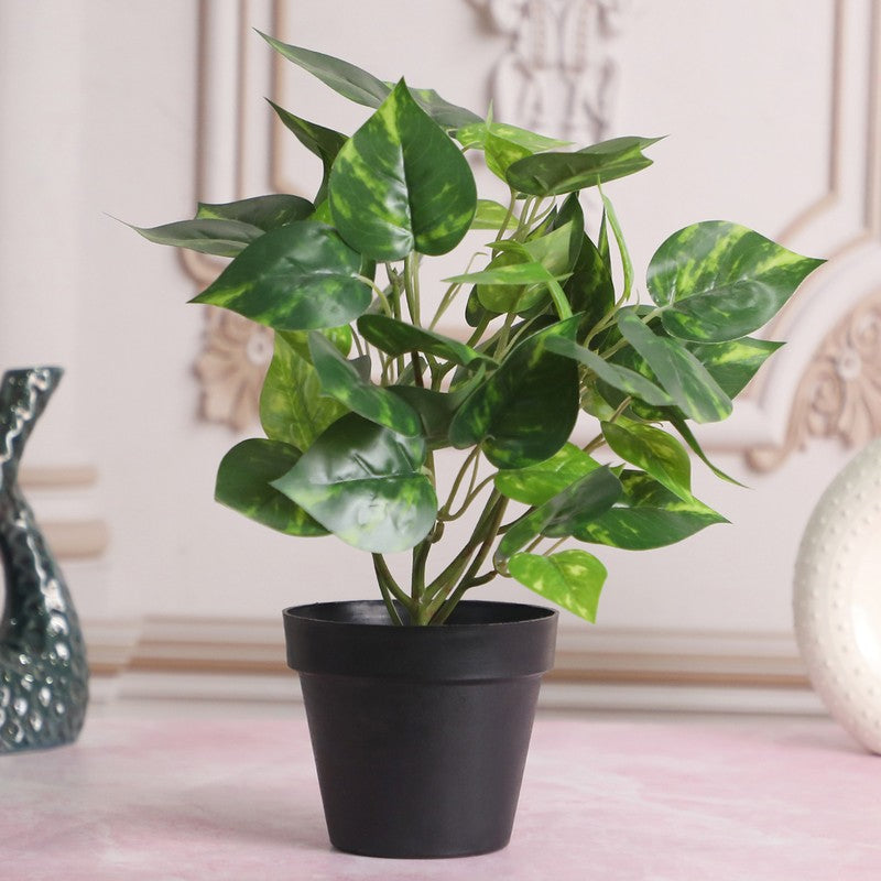 Artificial Money Plant With Black Plastic Pot