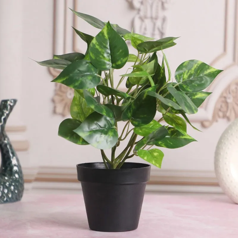 Artificial Money Plant With Black Plastic Pot media 1