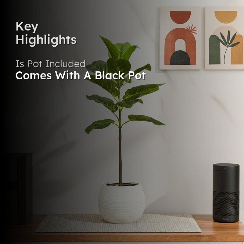 Stemly Artificial Fiddle Fig Plant With Black Plastic Pot - 2.5 Feet media 2