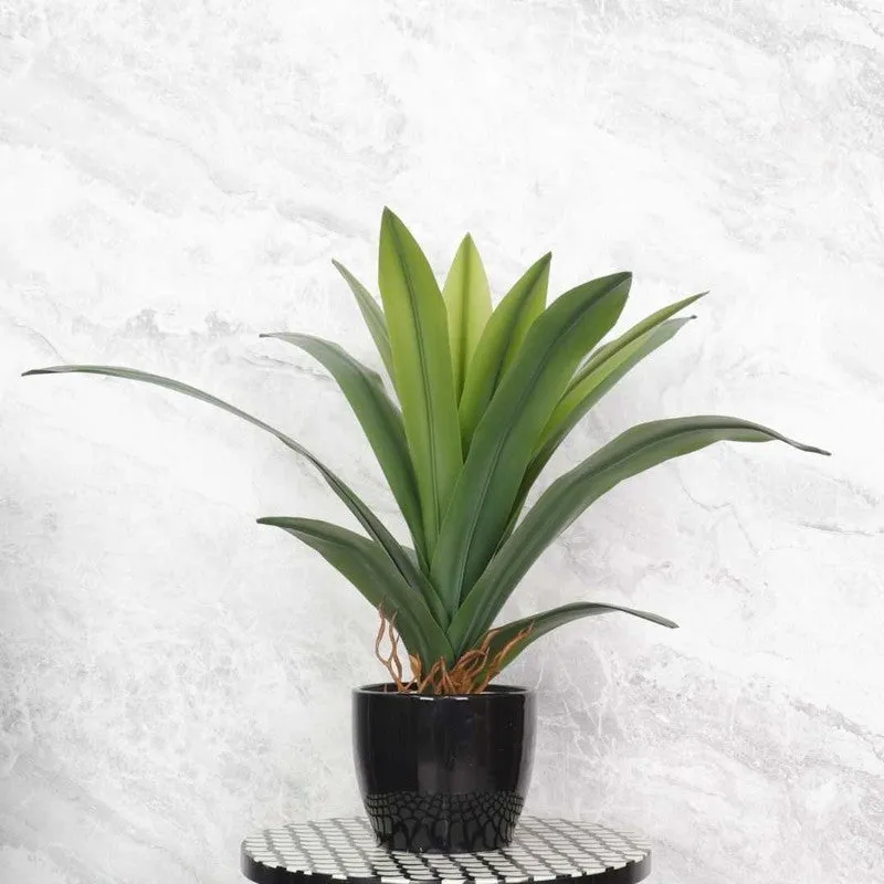 Real Touch Plant Without Pot - 2.1 Feet media 5