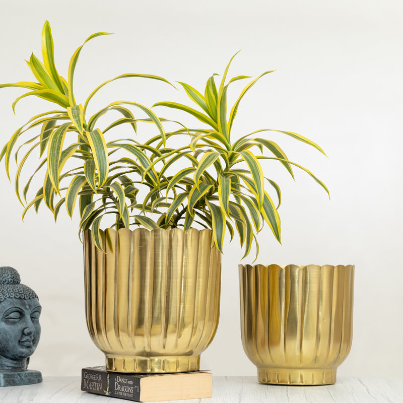 Cosie Coral Planter (Gold) - Set Of Two media 5