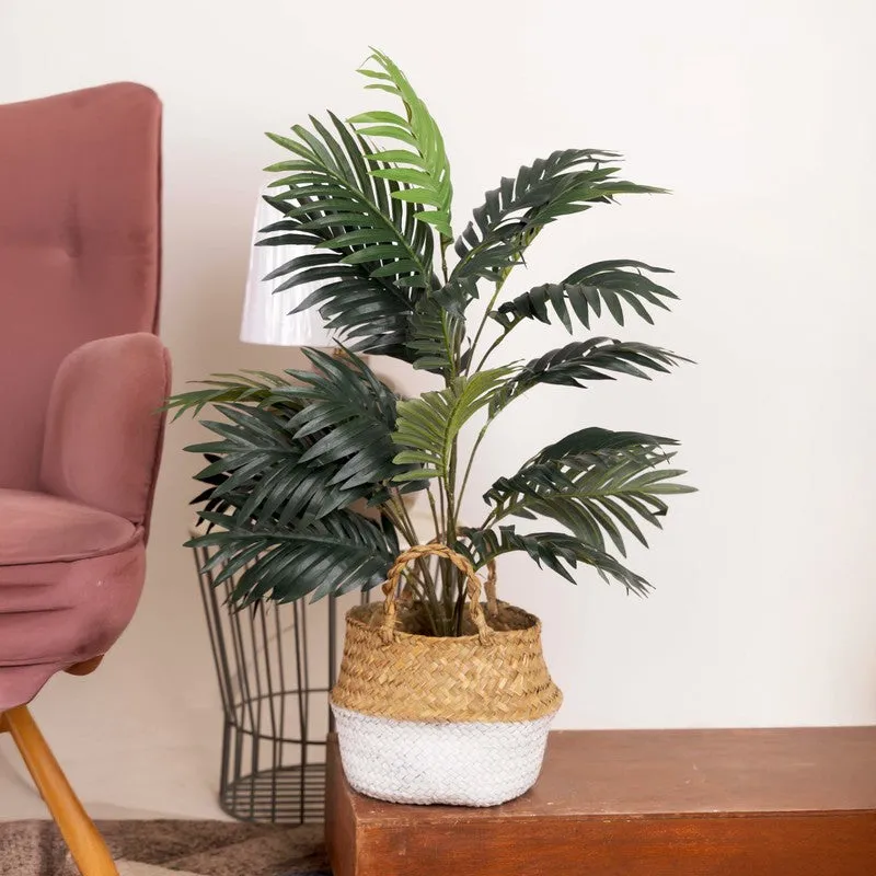 Modern Tropic Artificial Plant With Black Fiber Pot - 2.3 Feet media 1