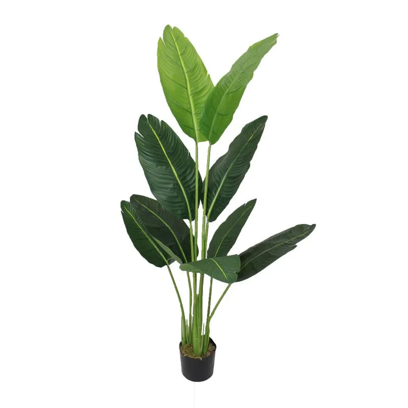 Ardella Artificial Banana Plant With Black Fiber Pot - 4.4 Feet media 4