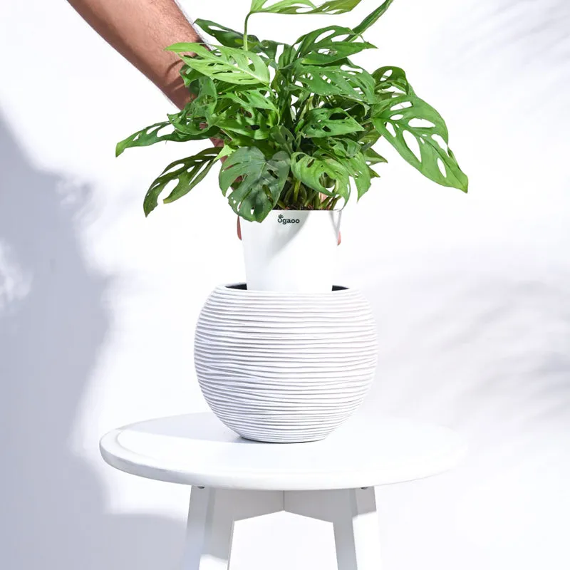 UGAOO Planter Vase Ball Rib - Ivory media 6