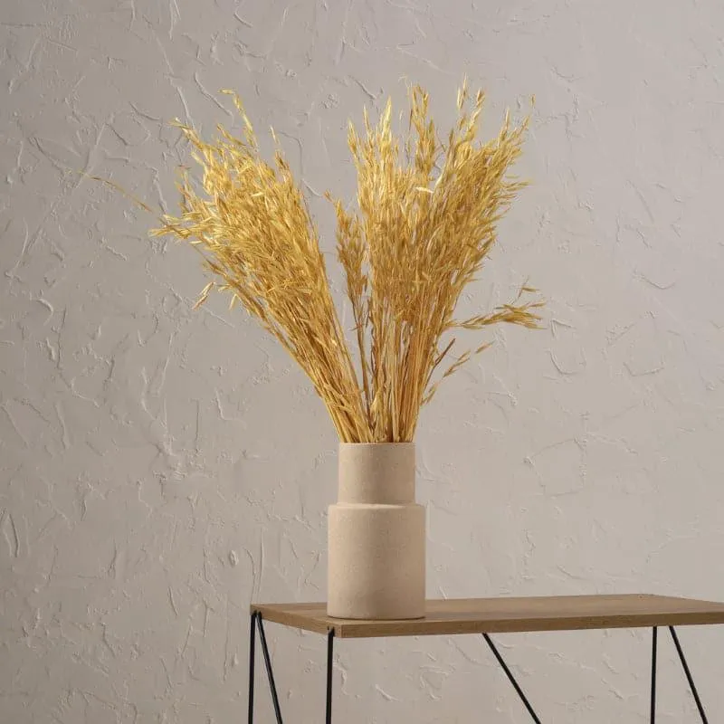 Hazo Millet Grass Dried Havana Grass Bunch - Yellow media 3