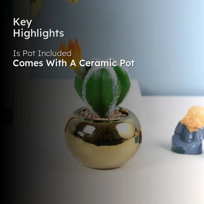 Faux Cacti In Round Ceramic Pot - 17 cms media 2