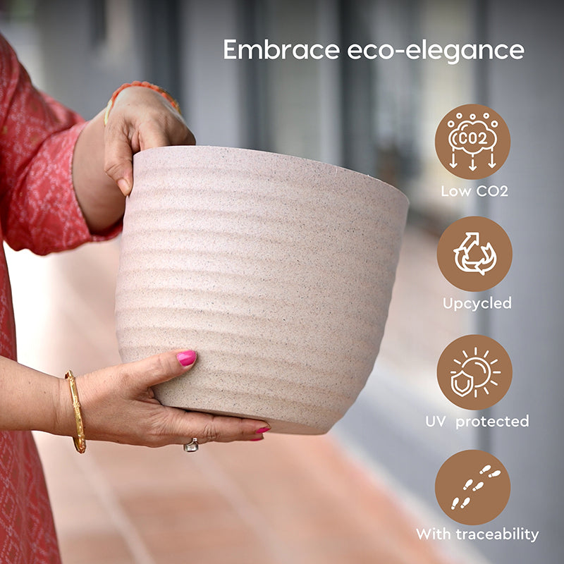 Vita Shell Planter - Set Of Two image 4