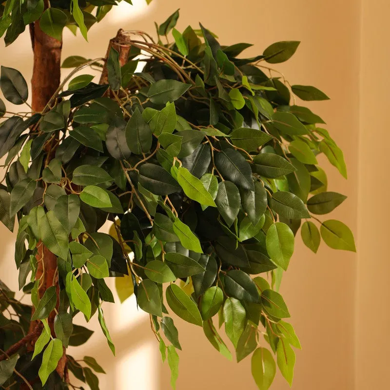 Artificial Green Ficus Bonsai With Black Plastic Pot - 5.5 ft media 6