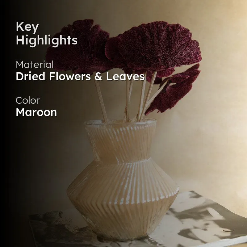 Sponge Mushroom Bunch (Maroon)  - Set Of Five media 2