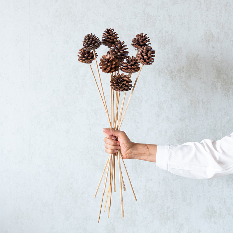 Enoira Dried Pine Cone Stick (Brown) -Set Of Ten
