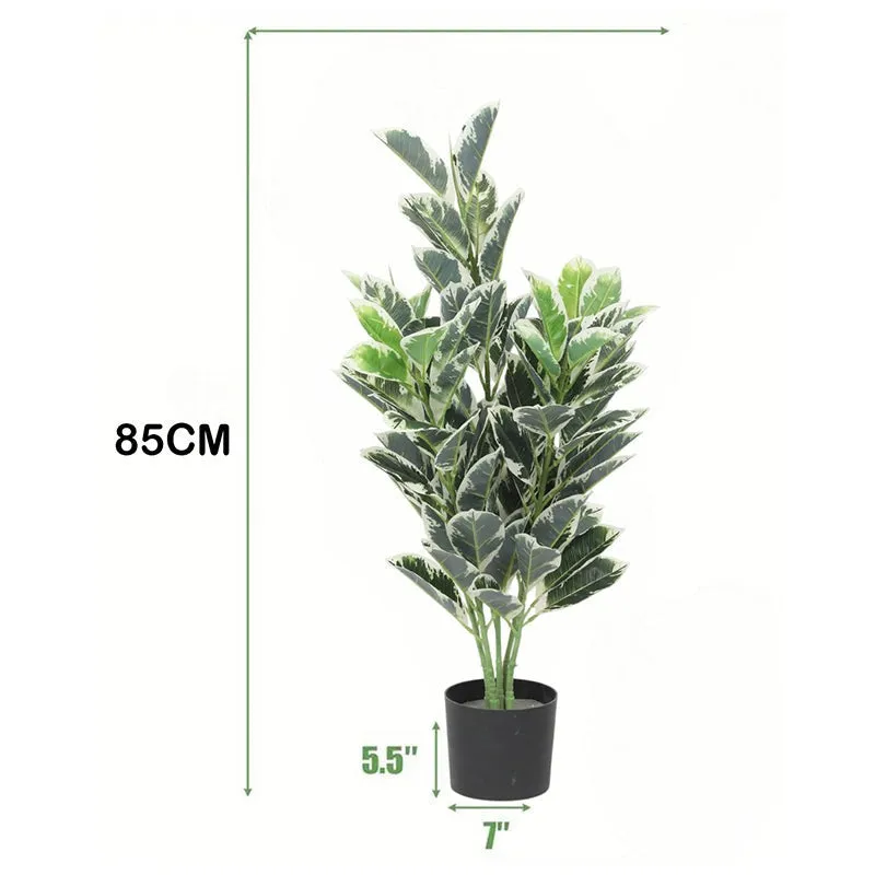 Tropikal Artificial Dieffenbachia Plant With Black Plastic Pot - 2.8 Feet media 6