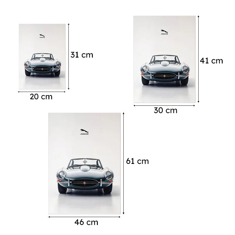 Jaguar Elegance Wall Poster media 10