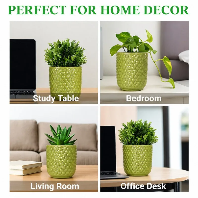 Green planter with a leafy plant shown in home office and living spaces