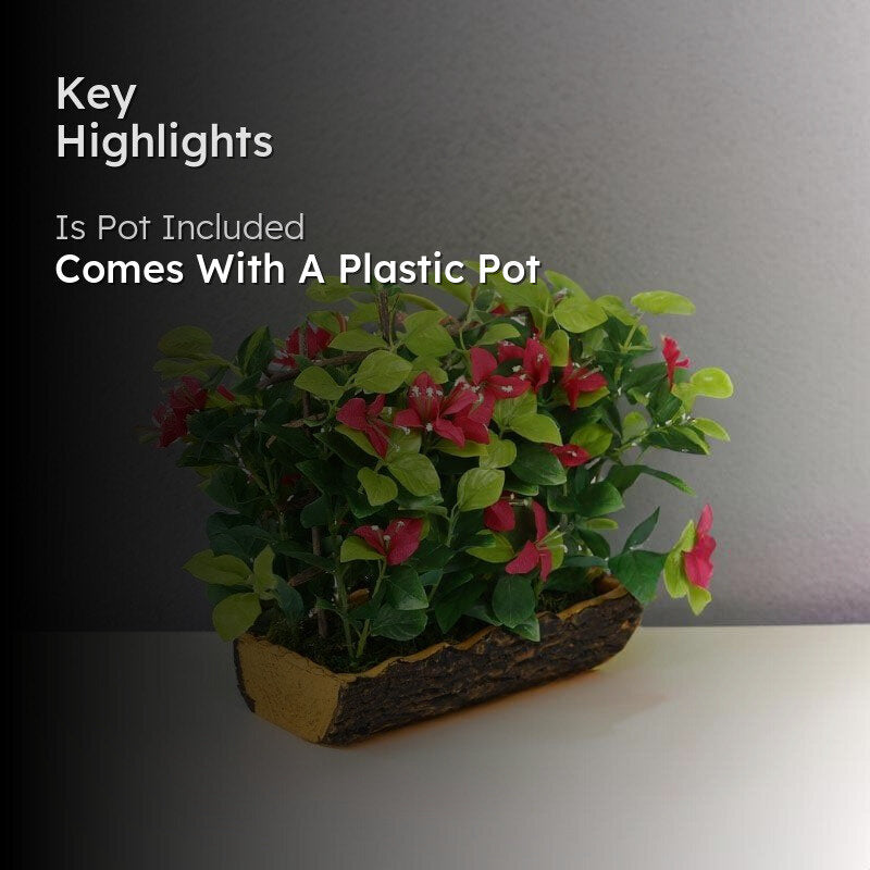 Faux Bougainvillea Bonsai in Black Plastic Pot (27 cms) - Fuschia media 2