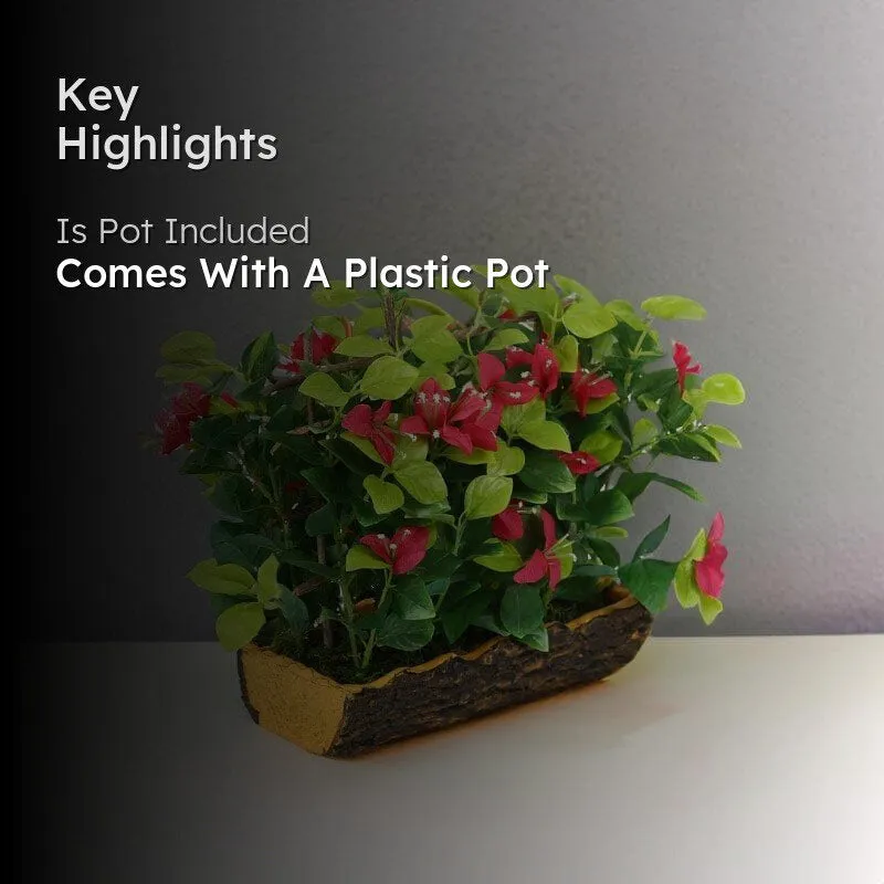 Faux Bougainvillea Bonsai in Black Plastic Pot (27 cms) - Fuschia media 2