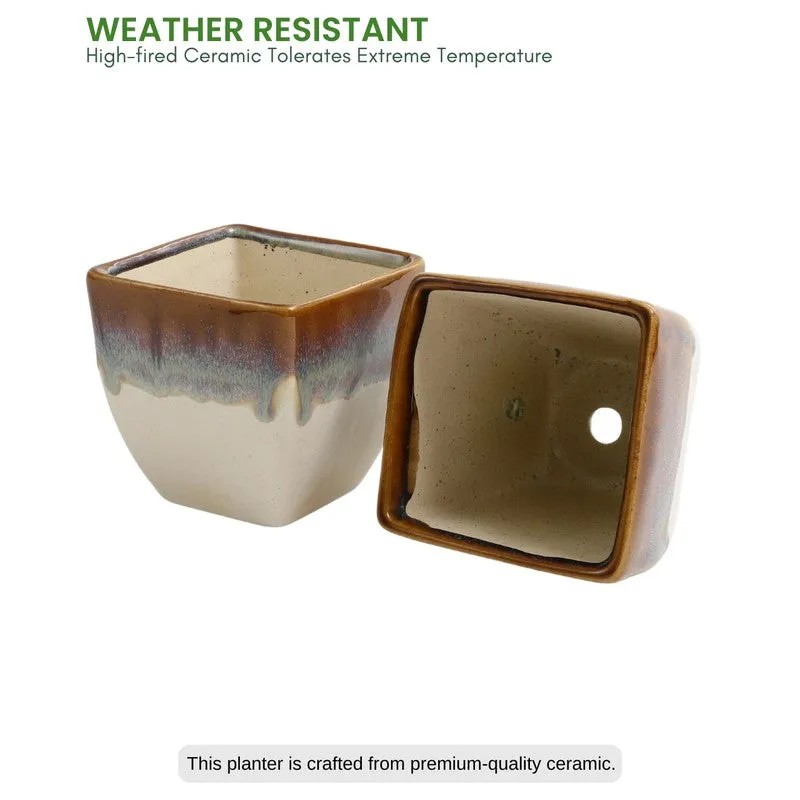 PureLuxe Pots & Planters (Brown,white) - Set Of Two media 7