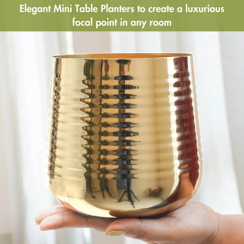 Shimmer Metal Gold Ribbed Planter - Gold media 10