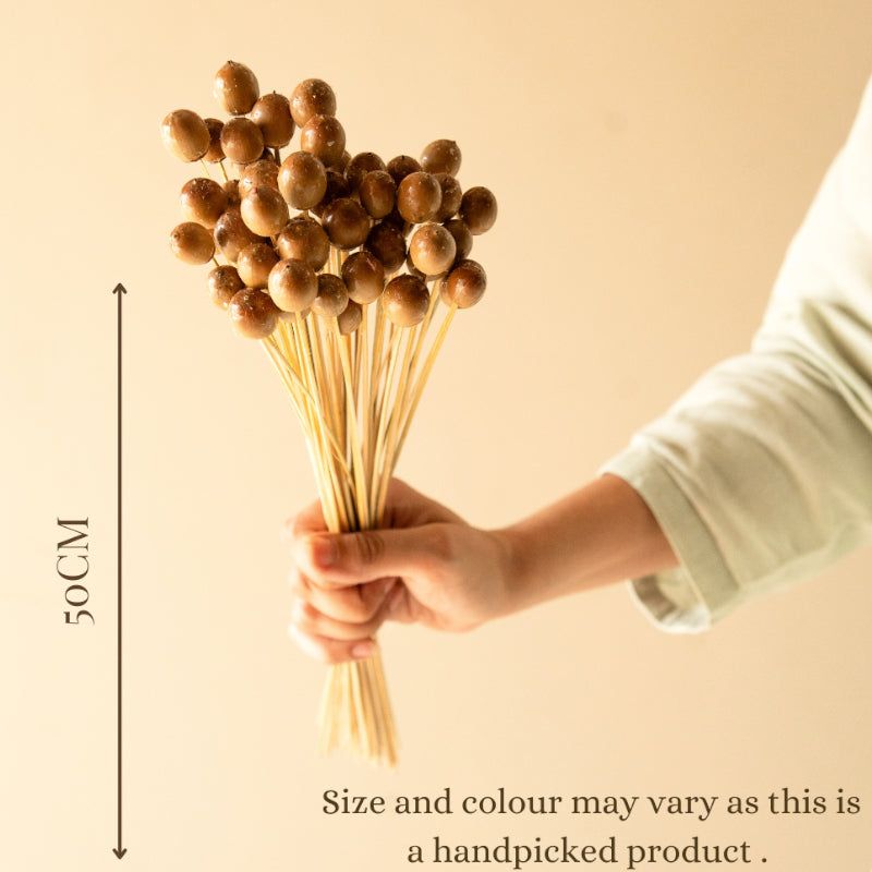 Dried Oak Tree Poppy Seeds - Set Of Twenty Five media 5