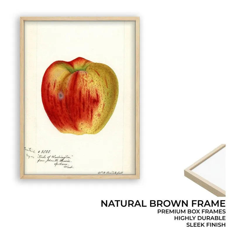 AppleHue Archival Canvas Wall Art - Brown media 9