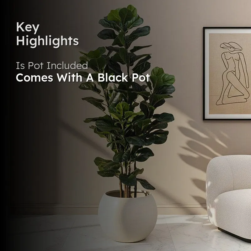 Faux Fiddle Fig Tree With Black Plastic Pot - 5.9 Feet media 2
