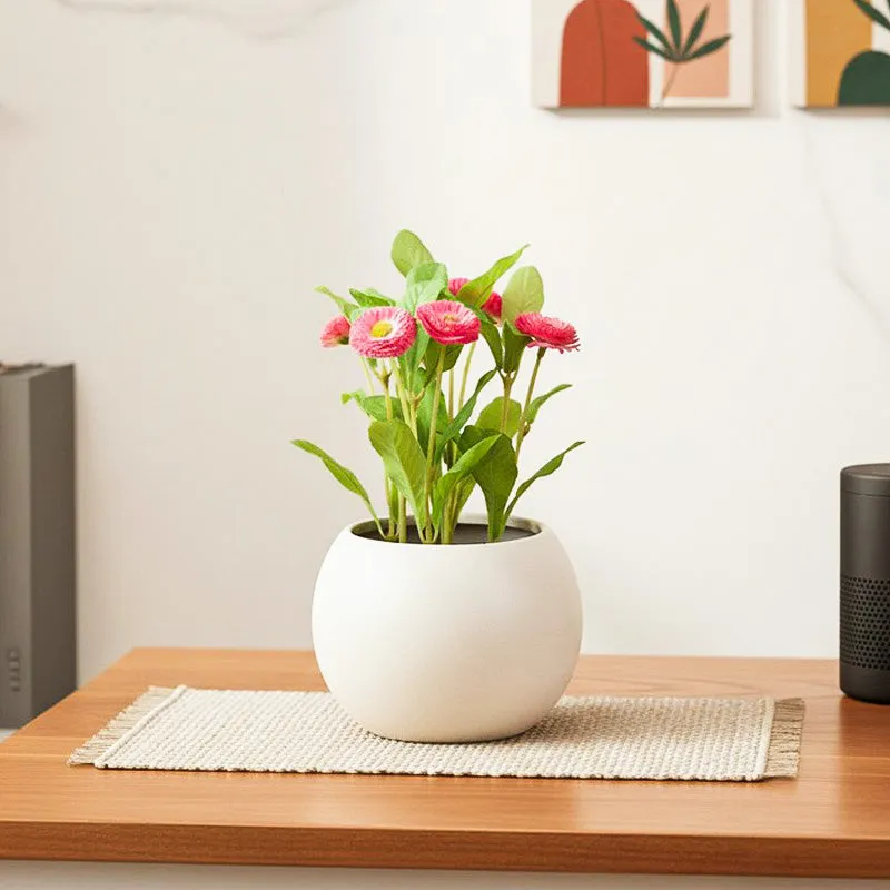 Faux Daisy Bonsai In Black Plastic Pot (25 cms) - Pink media 1