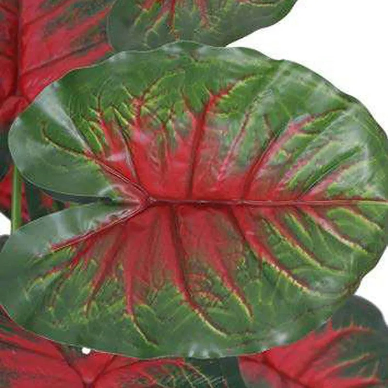 Verdant Caladium Artificial Plant Without Pot - 2.3 Feet media 5