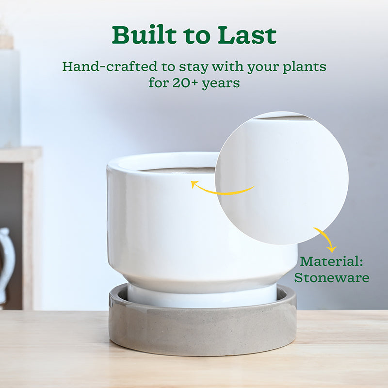 Ugaoo Pot-fection Ceramic Planter - White media 4