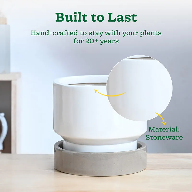 Ugaoo Pot-fection Ceramic Planter - White media 4