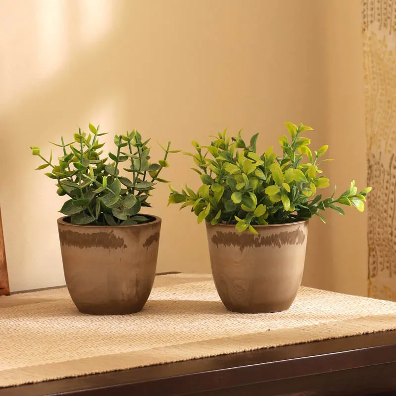 Artificial Mini Green Bush With Black Plastic Pot (Set Of Two) - 1