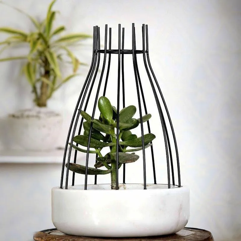 Black Dome Eartha Hand Crafted Marble Planter - White media 3