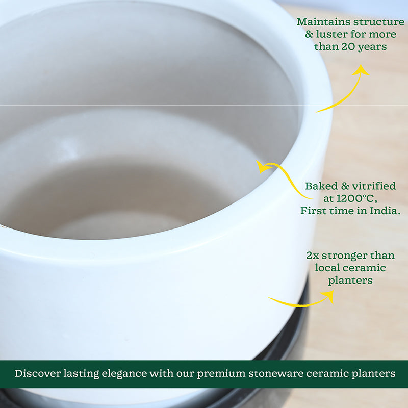 Ugaoo Pot-fection Ceramic Planter - White & Dark Grey media 6