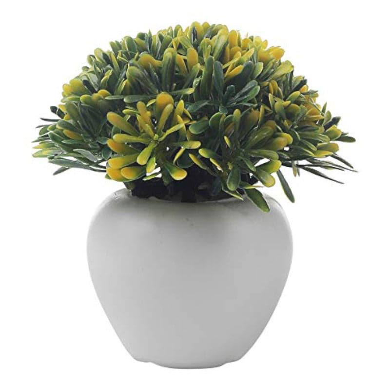 Chlora Faux Plant In Apple Pot - Set Of Three media 4