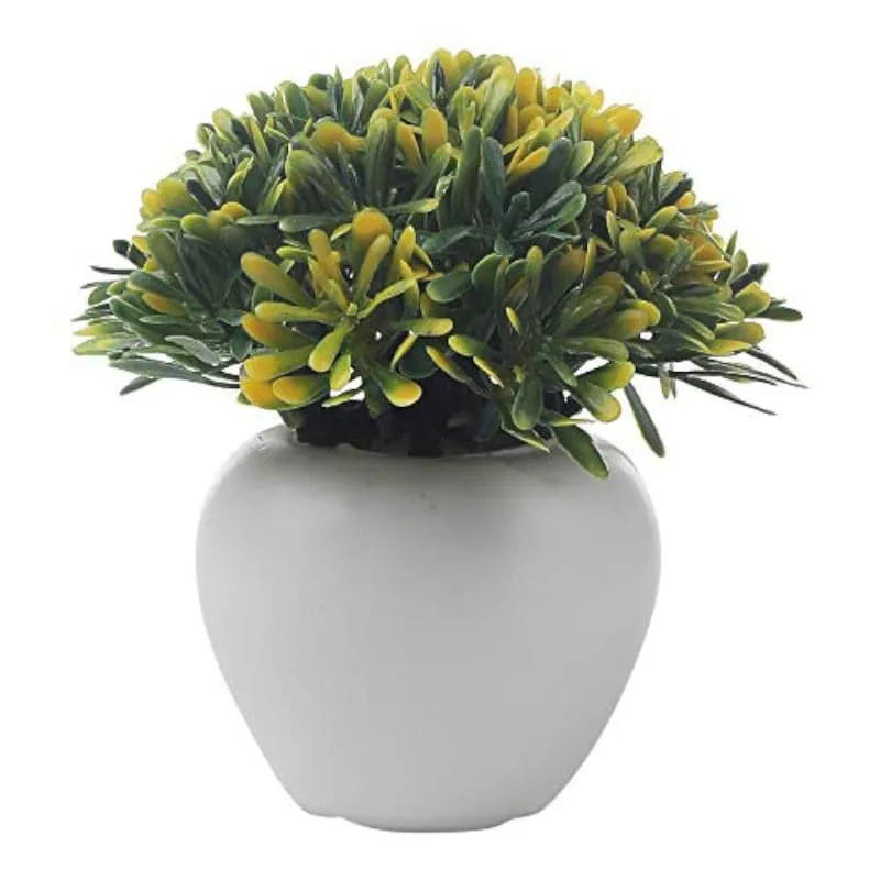 Chlora Faux Plant In Apple Pot - Set Of Three media 4