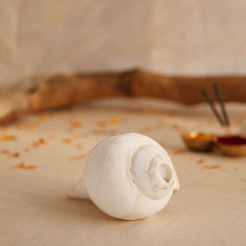 Sacred Shankh Shell Pooja Essential media 4