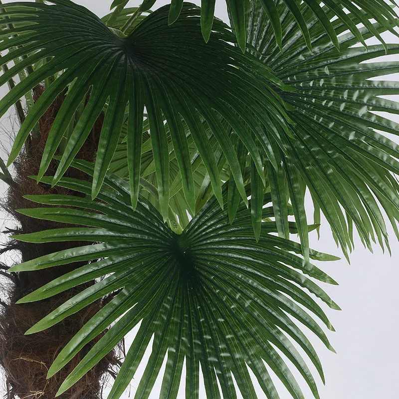 Everdant Artificial Palm With Black Plastic Pot - 6 Feet media 3