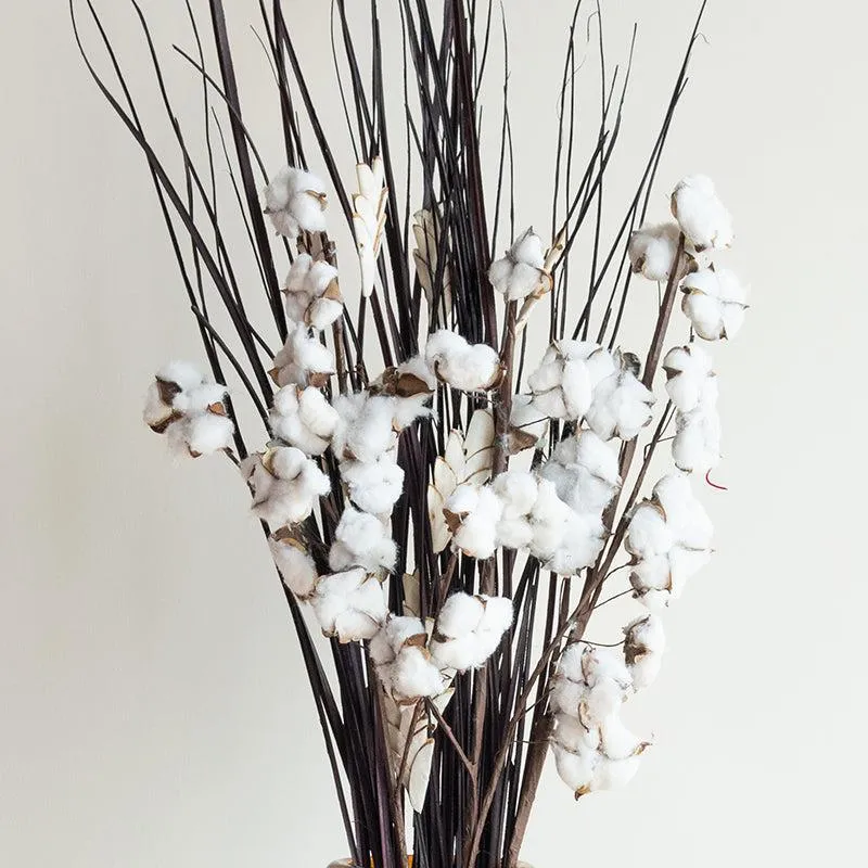 Zenora Dried Cotton Bunch media 4