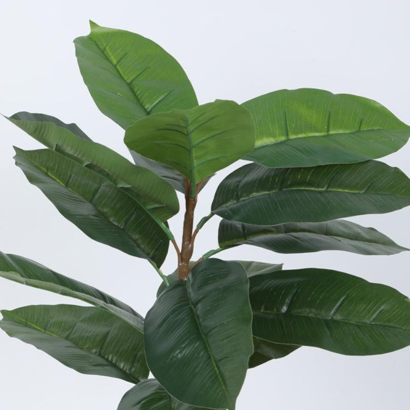 Faux Green Rubber Plant With Black Plastic Pot - 2.46 ft media 5