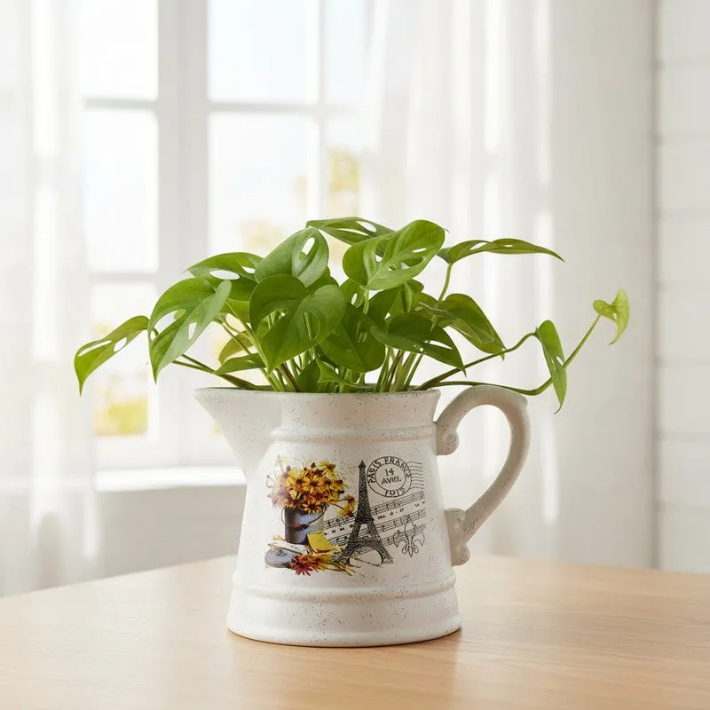 Ledgerly Ceramic Vase media 3