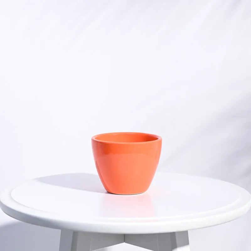 Ugaoo Apple Orange Ceramic Pot media 1