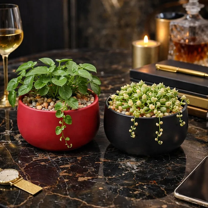 MinimalAura Pots & Planters (Red, Black) - Set of Two media 6