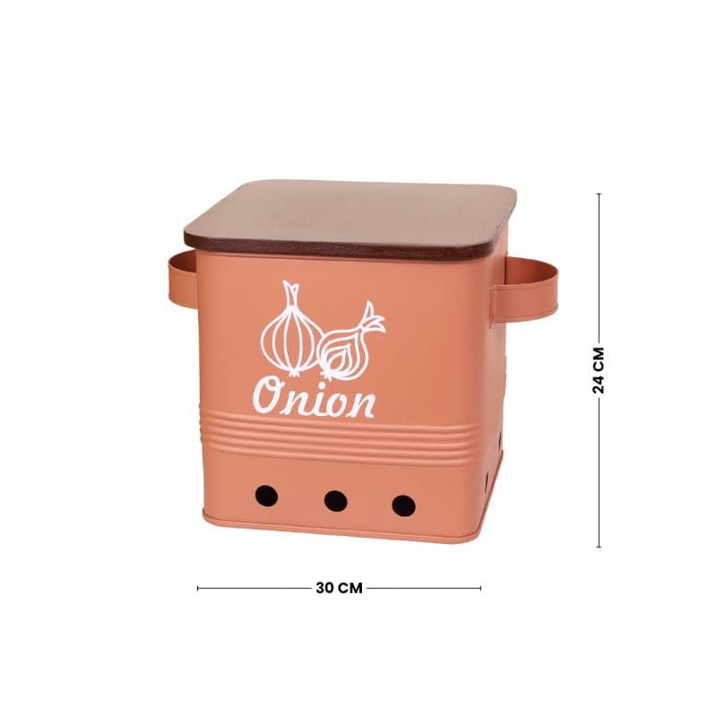 Ferrous Fun Rectangle Onion Iron Box - 10 L media 5